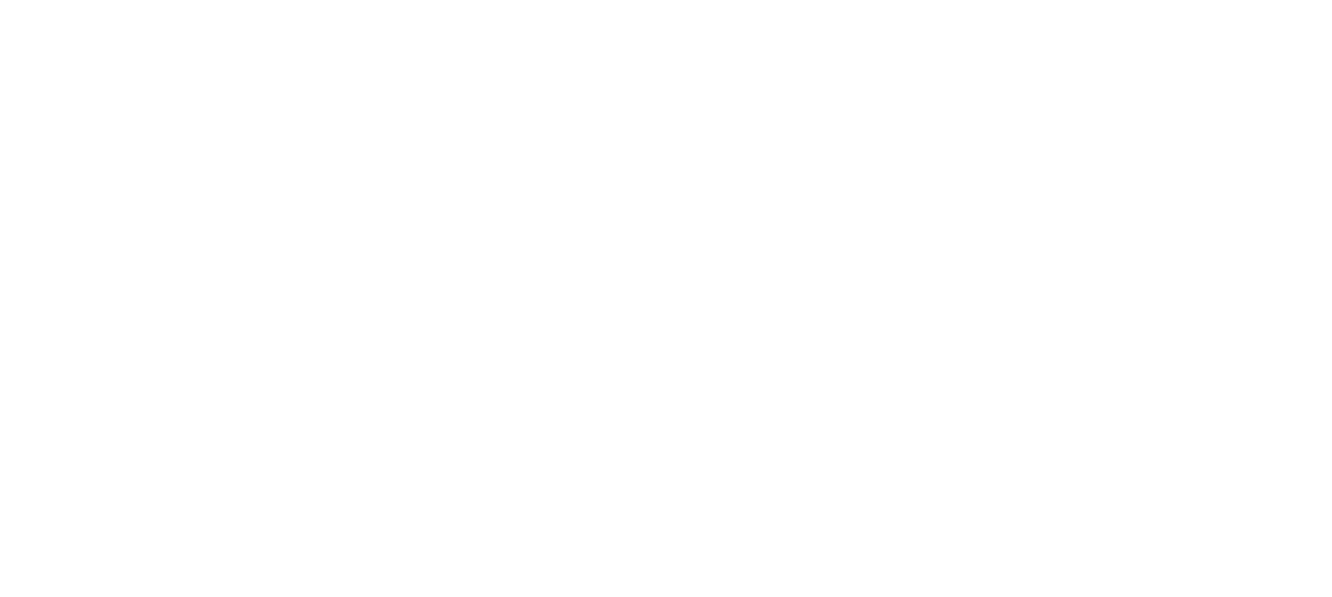 Emerson Store Logo